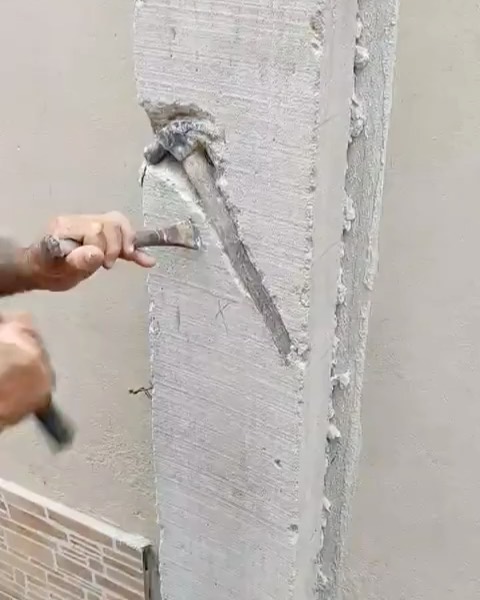 Describe this image
